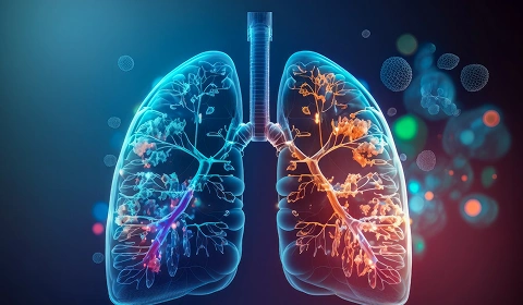 Digital illustration of lungs